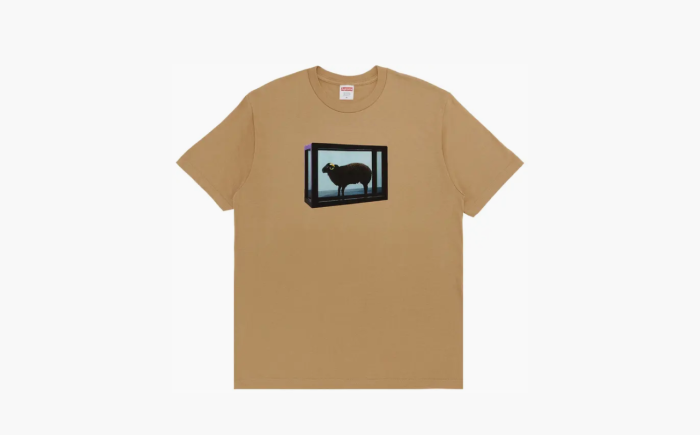 Supreme x Damien Hirst Tee "Khaki" 