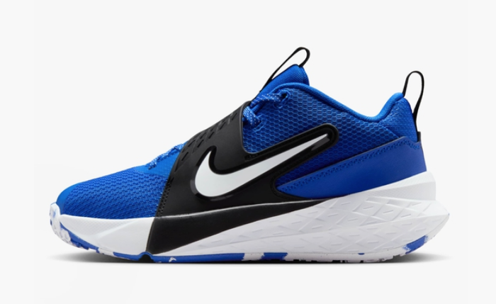 Nike Team Hustle D12 GS "Game Royal" 