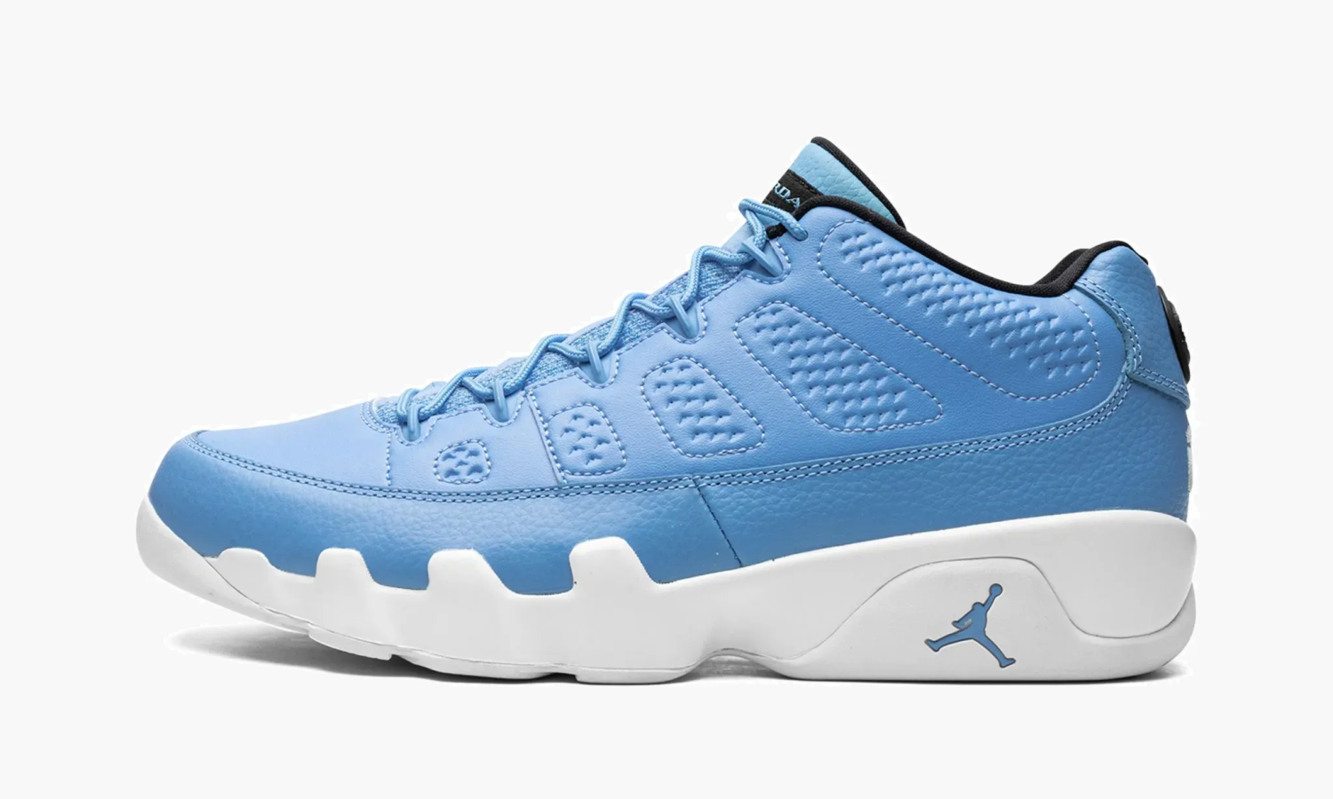 Air Jordan 9 Retro Low Pantone 9.5 US