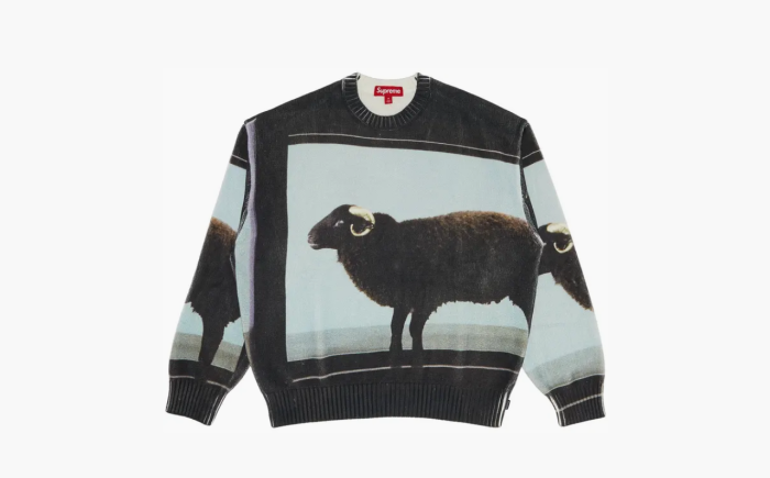 Supreme x Damien Hirst Sweater "Black" 