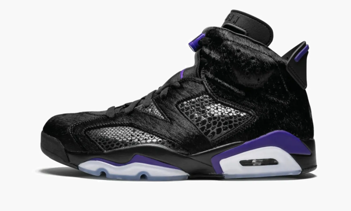 Air Jordan 6 Retro SP Social Status-black Cat 