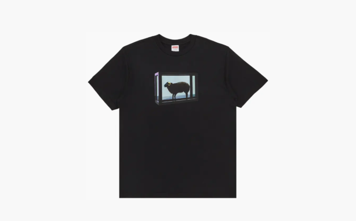 Supreme x Damien Hirst Tee "Black" 