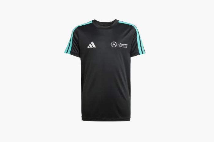Adidas Mercedes Amg Petronas Formula Team Dna T-Shirt Black/White 