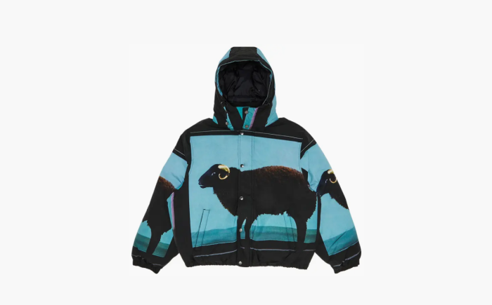 Supreme x Damien Hirst Down Puffer Jacket "Black" 