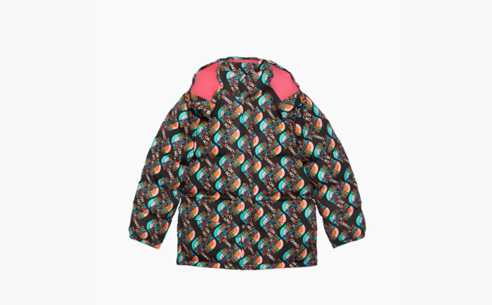 Gucci x The North Face Down Jacket Multicolor/Black  Gucci x The North Face Down Jacket Multicolor/Black