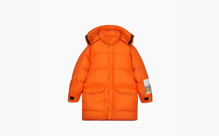 Gucci x The North Face Down Jacket Orange  Gucci x The North Face Down Jacket Orange