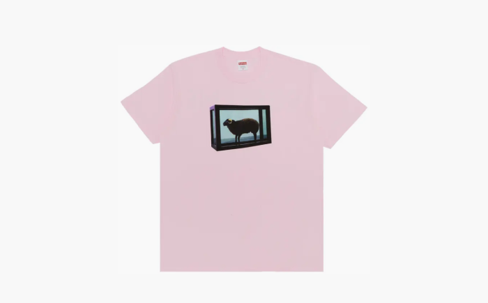 Supreme x Damien Hirst Tee "Light Pink" 