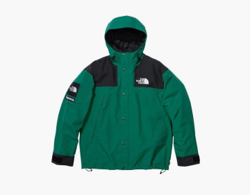 Supreme x The North Face Mountain Jacket Green 