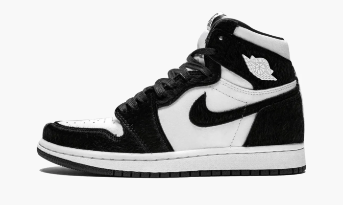 Air Jordan 1 High OG WMNS Twist 