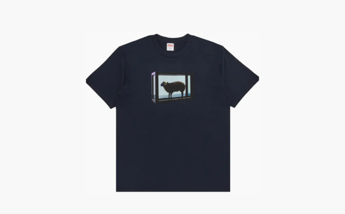 Supreme x Damien Hirst Tee "Navy" 