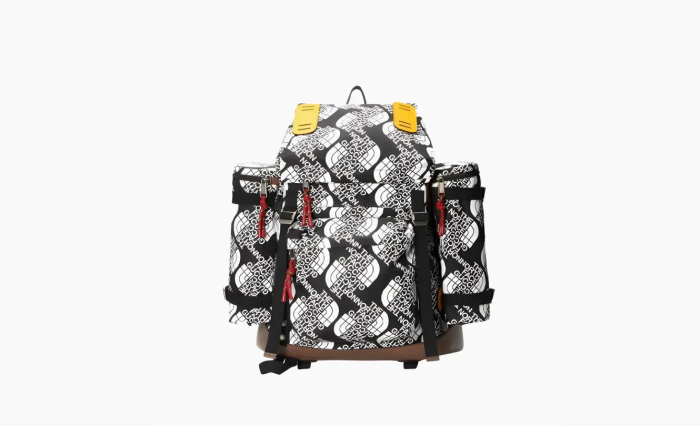 GUCCI x The North Face Backpacks Multicolor 