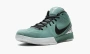 Zoom Kobe 4 Protro Bicoastal 