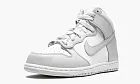 Nike Dunk High PS Vast Grey Kids