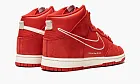 Nike Dunk HI SE First Use