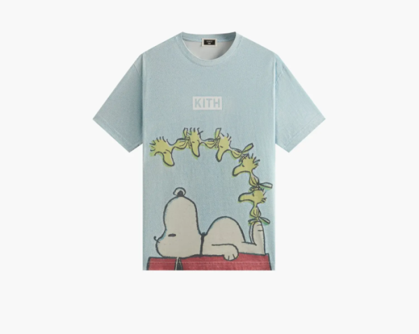 Kith For Peanuts Woodstock Doghouse Comic Vintage Tee Glisten 