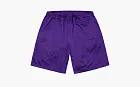 Supreme Small Box Baggy Mesh Short  Purple