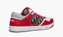 Dior B27 Low "Erl Red" 