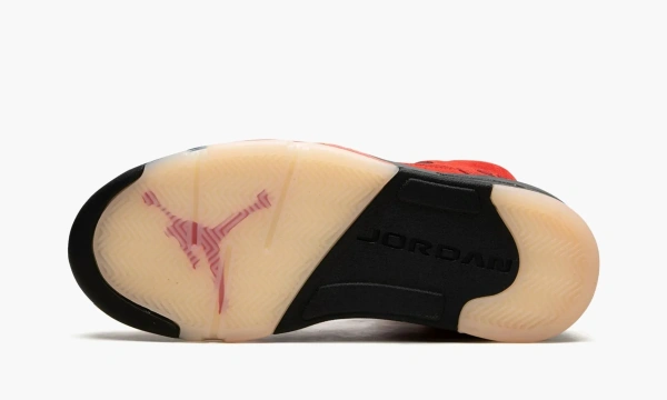 Air Jordan 5 Retro WMNS Dunk On Mars 