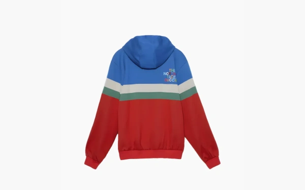 Gucci x The North Face Hooded Jacket Multicolor 