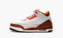 Air Jordan 3 GS "Dunk On Mars" 