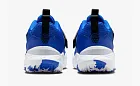 Nike Team Hustle D12 GS Game Royal