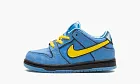 Nike SB Dunk Low TD The Powerpuff Girls Bubbles