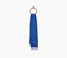 Loewe Mohair-Blend Scarf Bright Blue