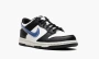 Nike Dunk Low Next Nature GS Tpu Swoosh 