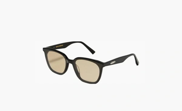 Gentle Monster Lilit 01(BR) Sunglasses Black/Brown 