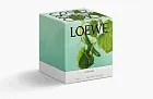 Loewe Small Scented Candle Cucumber