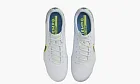 Nike Tiempo Legend 9 Elite Fg Progress Pack