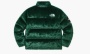 фото Supreme x The North Face Faux Faur Nuptse Jacket Green (Supreme)-SUP-FW20-349