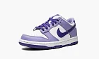 Nike Dunk Low GS Blueberry