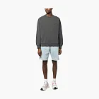 Carhartt WIP Nelson Washed Sweatshirt Grey