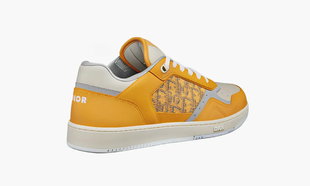 Dior B27 Low Gold-tone White Grey