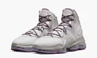 Nike Lebron 19 Strive For Greatness