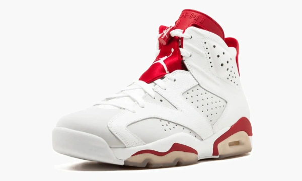 Air Jordan 6 Retro Alternate 