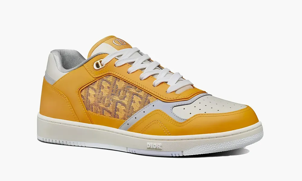 Dior B27 Low Gold-tone White Grey