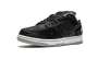 Nike SB Dunk Low Medicom Toy - Be@rbrick 