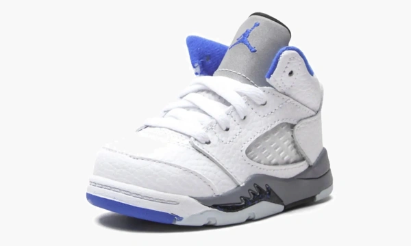 Air Jordan 5 Retro TD Stealth 2.0 