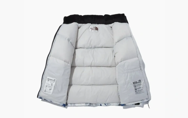 The North Face White Label Novelty Nuptse Down Jacket Earth Print 