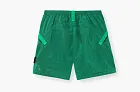 Stone Island Nylon Metal Econyl Shorts Malachite