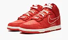 Nike Dunk HI SE First Use