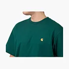 Carhartt WIP FW23T