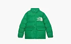 Gucci x The North Face Down Coat Green/Dark Green