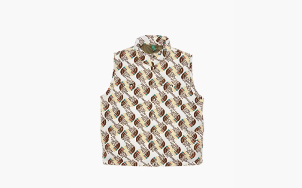 Gucci x The North Face Down Vest Ivory Brown 