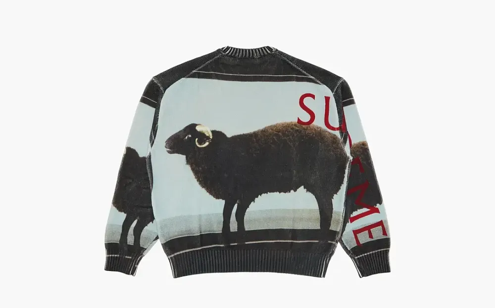 Supreme x Damien Hirst Sweater Black