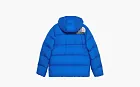 Gucci x The North Face Down Jacket Blue