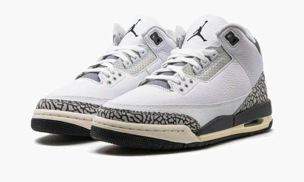 Air Jordan 3 GS Hide N Sneak 