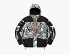 Supreme x The North Face Steep Tech Apogee Jacket Multicolor Dragon